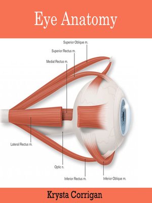 cover image of Eye Anatomy